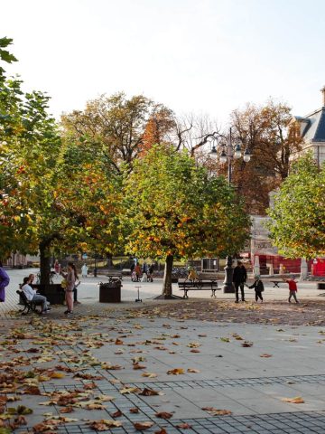 Rynek, park i zamek w Pszczynie Rynek, park i zamek w Pszczynie