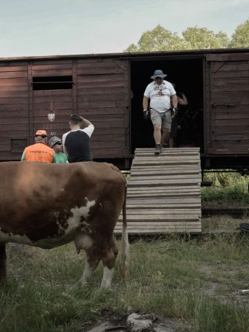 Sami Swoi 2 Pyskowice Sami Swoi 2 Pyskowice