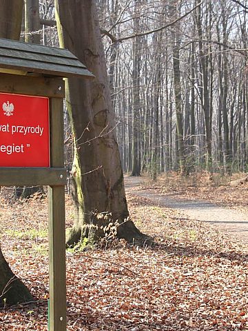 Rezerwat Segiet Rezerwat Segiet