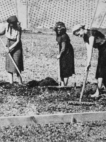 Stadion Śląski za dawnych lat Stadion Śląski za dawnych lat