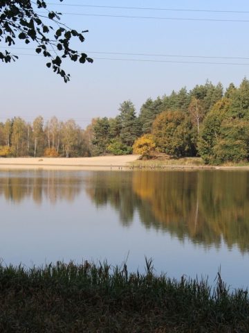 Staw Starganiec Mikołów Staw Starganiec Mikołów