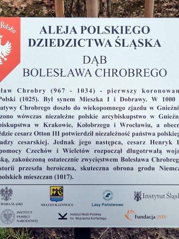 Tabliczka na dębie Bolesława Chrobrego w alei Polskiego Dziedzictwa Śląska 5 Tabliczka na dębie Bolesława Chrobrego w alei Polskiego Dziedzictwa Śląska 5
