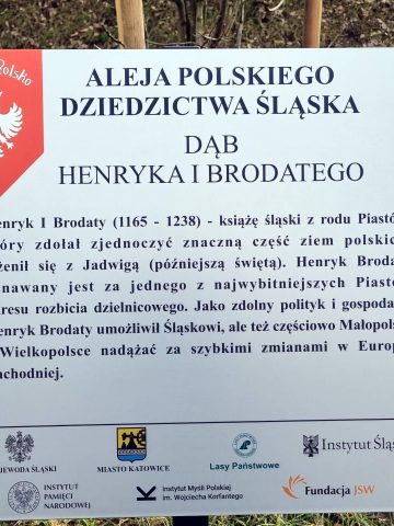 Tabliczka na dębie Henryka I Brodatego w alei Polskiego Dziedzictwa Śląska 7 Tabliczka na dębie Henryka I Brodatego w alei Polskiego Dziedzictwa Śląska 7