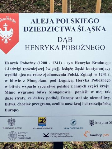 Tabliczka na dębie Henryka Pobożnego w alei Polskiego Dziedzictwa Śląska 8 Tabliczka na dębie Henryka Pobożnego w alei Polskiego Dziedzictwa Śląska 8