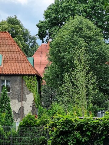 Wille na Knajfeldzie w Bytomiu Wille na Knajfeldzie w Bytomiu