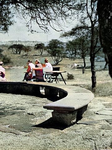 Wojewódzki Park Kultury i Wypoczynku, lata 50. Wojewódzki Park Kultury i Wypoczynku, lata 50.