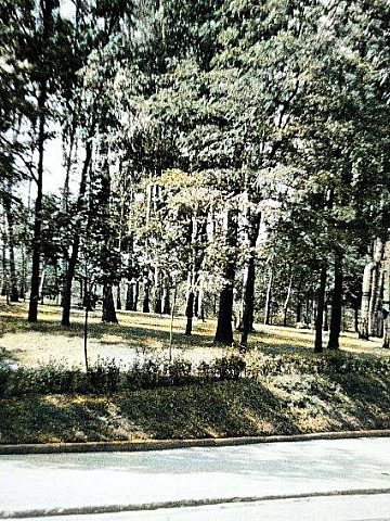 Wojewódzki Park Kultury i Wypoczynku, lata 50. Wojewódzki Park Kultury i Wypoczynku, lata 50.