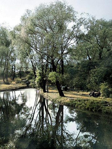 Wojewódzki Park Kultury i Wypoczynku, lata 50. Wojewódzki Park Kultury i Wypoczynku, lata 50.