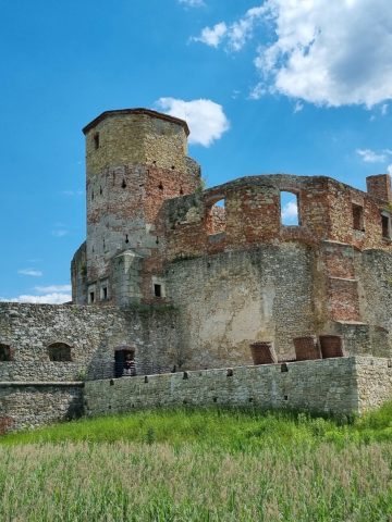 Zamek w Siewierzu Zamek w Siewierzu