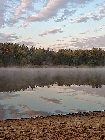 Zespół przyrodniczo-krajobrazowy Szopienice Borki w Katowicach Zespół przyrodniczo-krajobrazowy Szopienice Borki w Katowicach