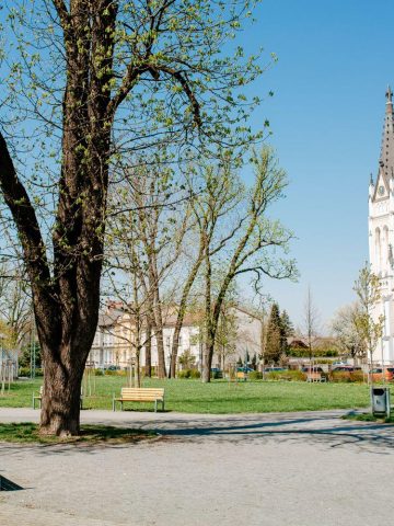 Czeski Cieszyn Czeski Cieszyn