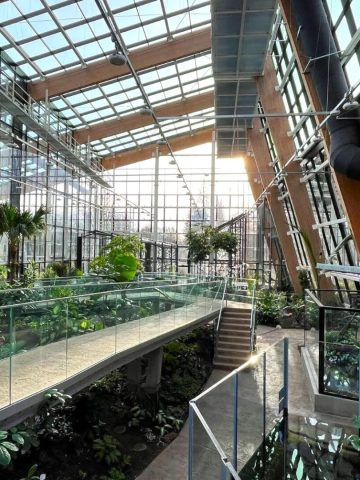 Egzotarium sosnowiec 36 Egzotarium sosnowiec 36