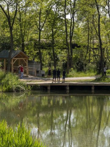 Geopark otwarcie Zabrze Geopark otwarcie Zabrze