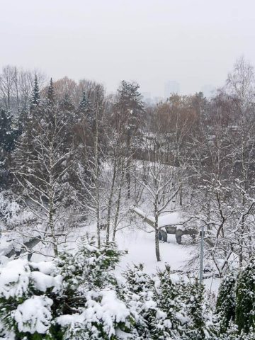 Kolejka elka 2 linia park slaski 21 Kolejka elka 2 linia park slaski 21