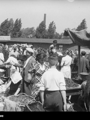 Życie mieszkańców Katowic w latach 1947-1950 Życie mieszkańców Katowic w latach 1947-1950