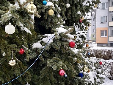 Dzielnica Strzybnica będzie samodzielnie organizować choinkę Choinka w Strzybnicy