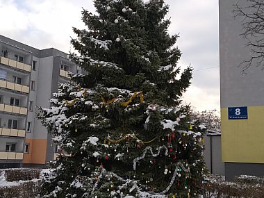 Strzybnica zaprasza na wspólne strojenie choinki Choinka w Strzybnicy