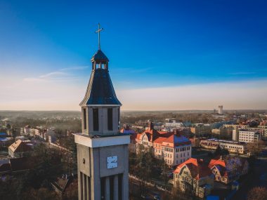 Przełom w sprawie dzików niszczących prywatne ogródki przy ul. Wilsona i Niepodległości w Knurowie knurów