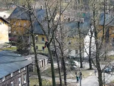 Mistrzowie BHP w Katowicach. Film robi furorę Kadr z filmu obcinanie gałęzi Katowice