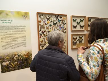 Wystawa w naszym muzeum tylko dla ludzi o mocnych nerwach Wystawa Muzeum Górnośląskie3