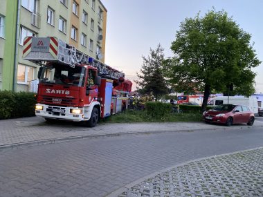 Knurów: Pies wyszedł na parapet. Wezwano strażaków 87 DD802 C BA9 E 4 A0 A B226 CBC2 FB7 BFCEC