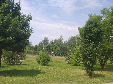 Tarnowskie Góry. Sowice chcą zadbać o czysty las Tarnowskie Góry sowice