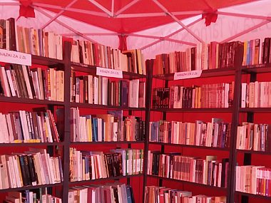 Biblioteka w Tarnowskich Górach zaprasza na kiermasz książek Tarnowskie Góry biblioteka kiermasz