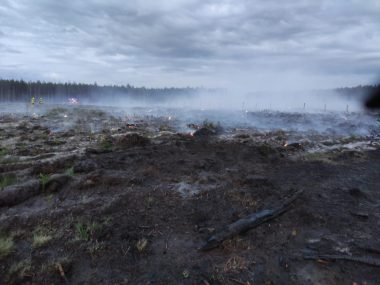 Walka z pożarem w Miasteczku Śląskim trwa Pożar w Miasteczku Śląskim