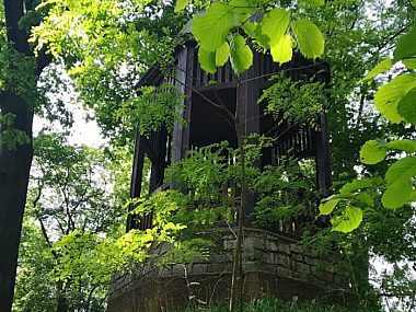Odkryj sekrety Parku Miejskiego w Tarnowskich Górach Park Miejski w Tarnowskich Górach