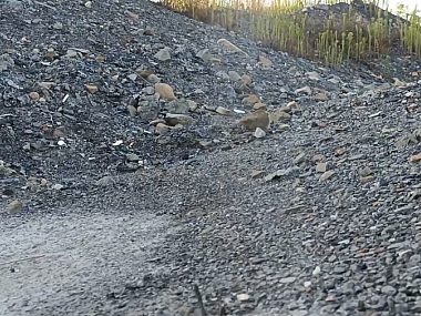 Zapach dochodzący z hałdy uprzykrza życie bytomianom Dzikie wysypiska Bytom