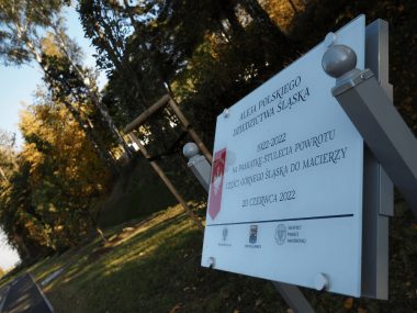 Rozpoczęto sadzenie stu dębów w okolicy Nowego Nikiszowca Aleja Polskiego Dziedzictwa Śląska
