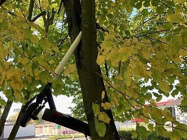 Hulajnogi elektryczne znikną z miasta przez wandali hulajnogi na drzewach Zawiercie