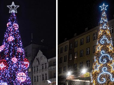 Jaka choinka stanie na tarnogórskim rynku? Głosowanie trwa Tarnowskie Góry choinka 2022