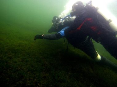 Kurs dla instruktorów płetwonurkowania Kurs nurkowania