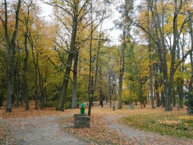 Przypadkowi przechodnie i mundurowi uratowali mężczyznę Tarnowskie góry park miejski