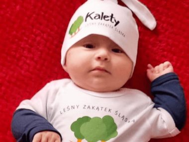 Kalety w 2022 roku - trochę statystyki Kalety liczba mieszkańców