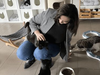 Finał zbiórki dla Cichego Kąta w Tarnowskich Górach Zbiórka dla Cichego Kąta w Tarnowskich Górach
