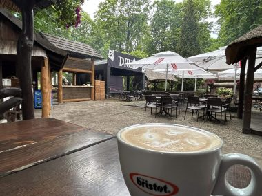 Urodziny Pubu Druid - to już dziś! Gotowi na trzydniowe świętowanie?
