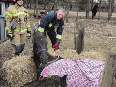 Nietypowa interwencja strażaków z powiatu tarnogórskiego Celiny osp