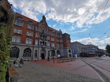 W Katowicach będą zielone przystanki dla pasażerów Naprzeciwko wejścia do dawnego Muzeum Śląskiego ma zostać zainstalowana ławka z pnączami