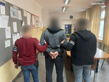 Miłość, kradzież, popkultura. Takie to dziś crime story Zatrzymanie przez policję