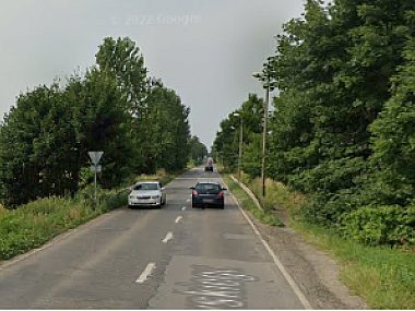 W Dąbrówce samochód osoby zderzył się z dwoma warchlakami Zdarzenie z udziałem warchlaków