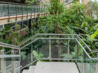 Las deszczowy w śląskim zoo prawie gotowy Las deszczowy w śląskim zoo prawie gotowy Zobaczcie jak się prezentuje
