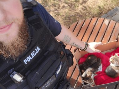 Policjanci z Kalet zaopiekowali się porzuconymi kociętami Kalety policja koty