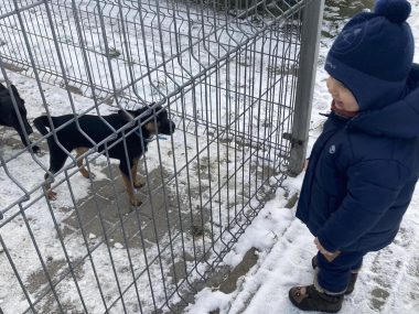 Świąteczna zbiórka dla bezdomnych zwierząt w Rudzie Śląskiej Rudzianie zapraszają do zbiórki na nasze schronisko