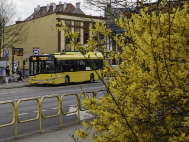 Wakacyjne rozkłady i dodatkowe połączenia na kąpieliska Od jutra nowe, wakacyjne rozkłady jazdy