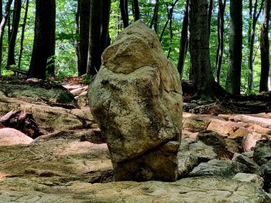 Kamienie, gwiazdy i uczeni. Bukowa Góra fascynuje Bukowa Góra Prehistoryczne miejsce kultu było tez obserwatorium astronomicznym