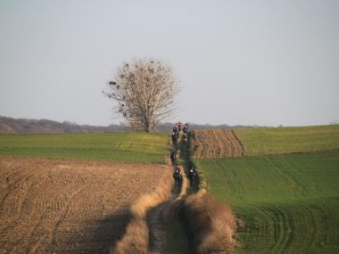 Nie trzeba jechać do Hiszpanii, by znaleźć się na Camino Camino w województwie śląskim