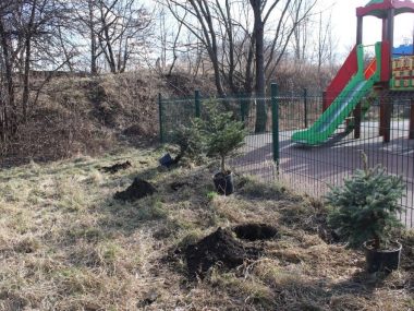 Zakład Gospodarki Komunalnej przyjmuje świąteczne choinki Choinki Piekary
