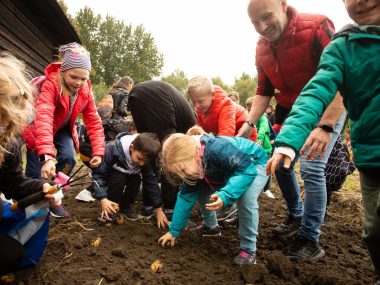 Dzień Kartofla w chorzowskim skansenie Chorzów. Dzień Kartofla w skansenie 17 września 2023 r